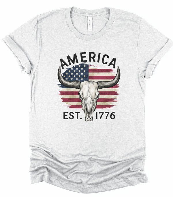 America 1776 Graphic Tee Shirt