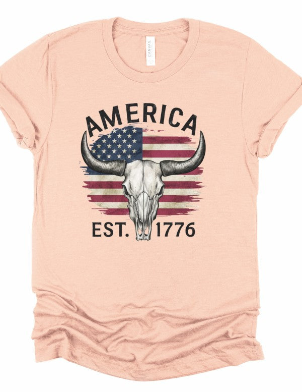 America 1776 Graphic Tee Shirt