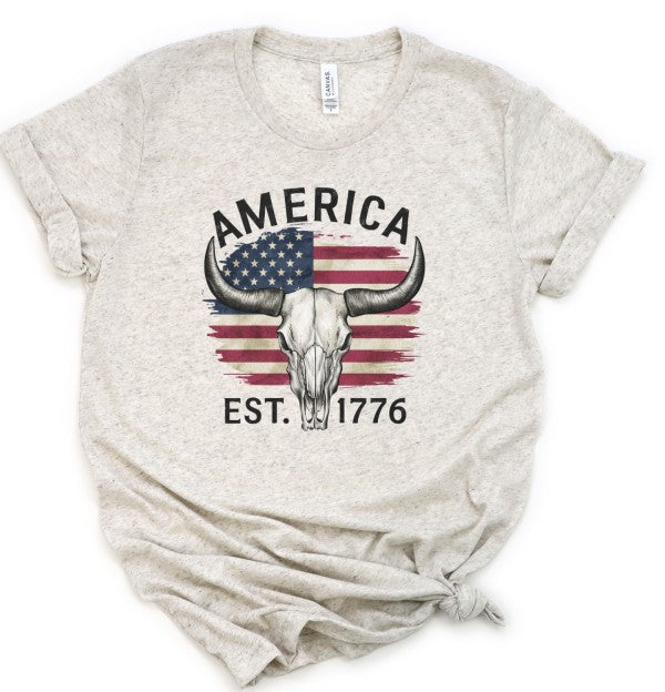 America 1776 Graphic Tee Shirt