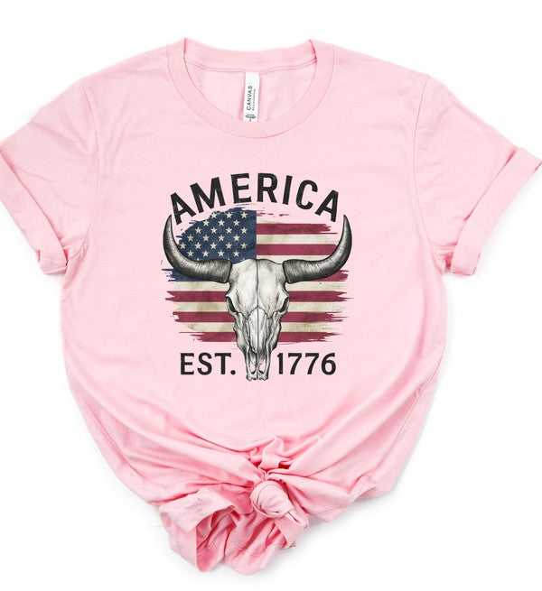 America 1776 Graphic Tee Shirt