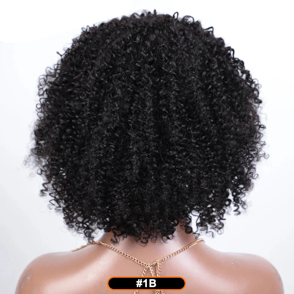 Afro Kinky Curly Black & Ombre T1B/30 Human Hair Wig | Brazilian Remy Machine Made Glueless Wigs for Women (Affordable)