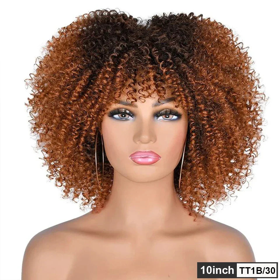 250% Density Afro Kinky Curly Wig with Bangs | Brown Glueless Human Hair