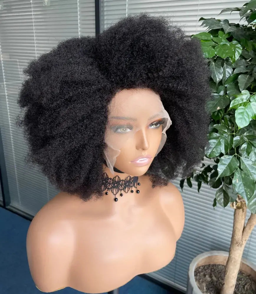 Afro Kinky Curly Lace Front Wig | Brazilian Remy Hair | HD Lace | Natural Hairline | 250% Density