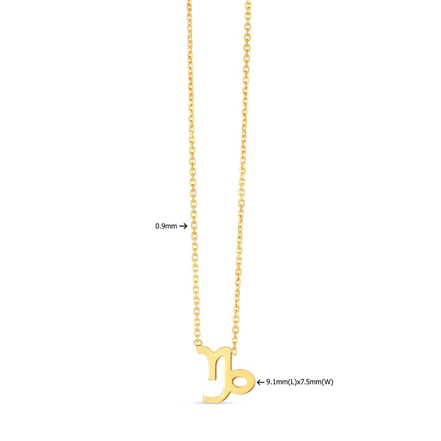 14K Yellow Gold Capricorn Necklace