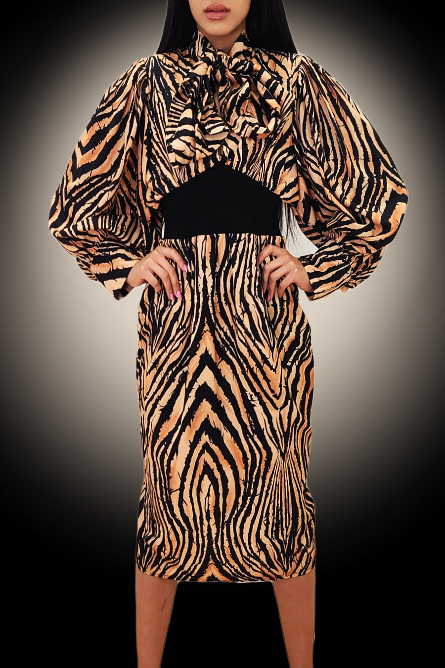 Long Sleeve Tiger Print Stretch Waist Dress