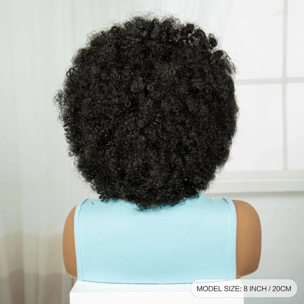 Afro Kinky Curly Cornrow Braids Wig | Transparent Full Lace | Baby Hair