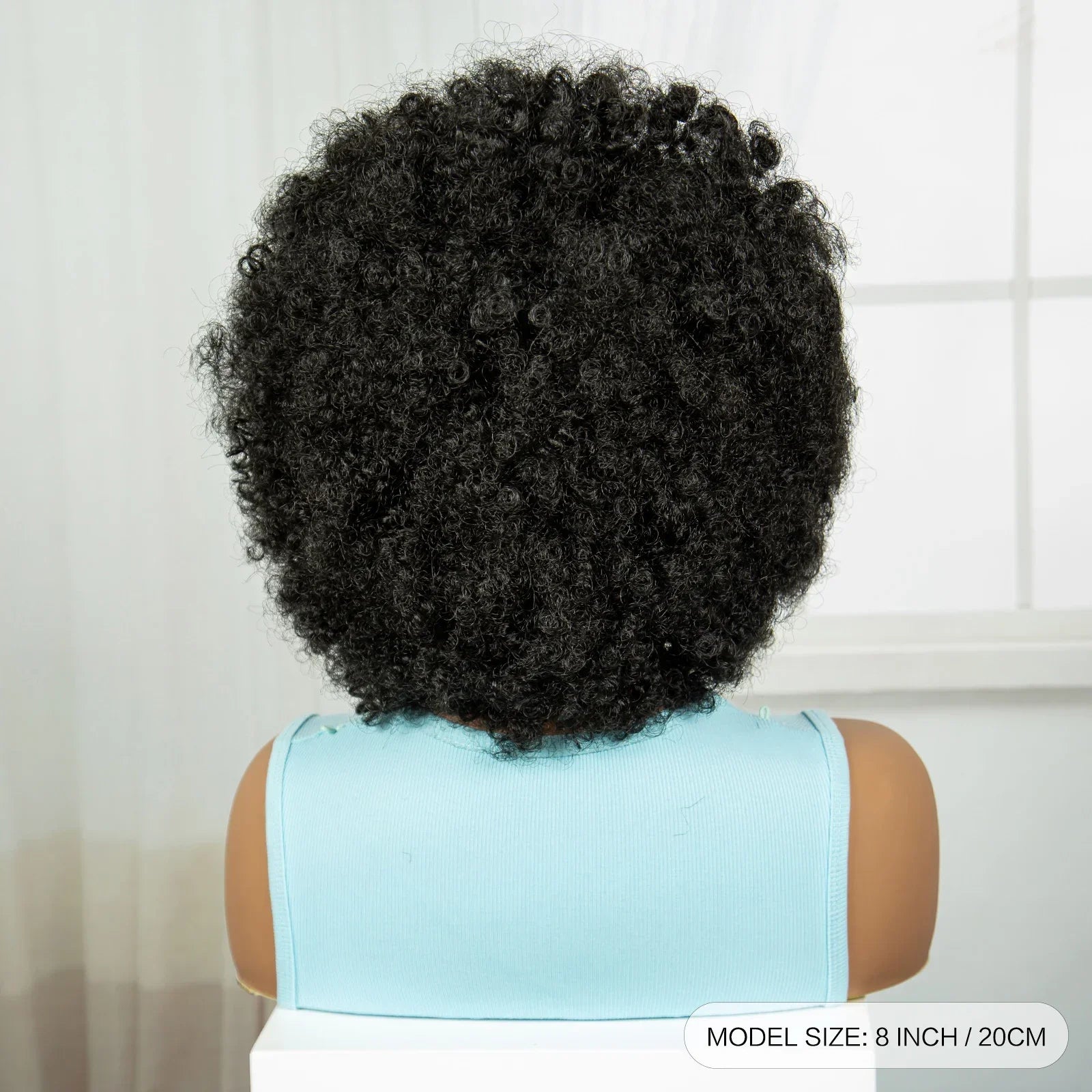 Afro Kinky Curly Braids Wig | Cornrow Accents | Full Lace | Baby Hair