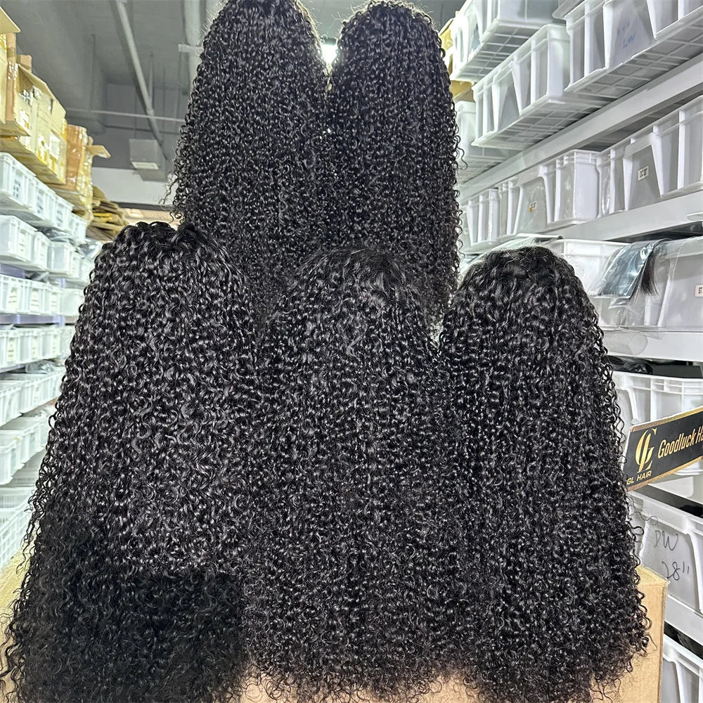 3B 3C Burmese Curly HD Lace Frontal Wig | Brazilian Pixie Curls