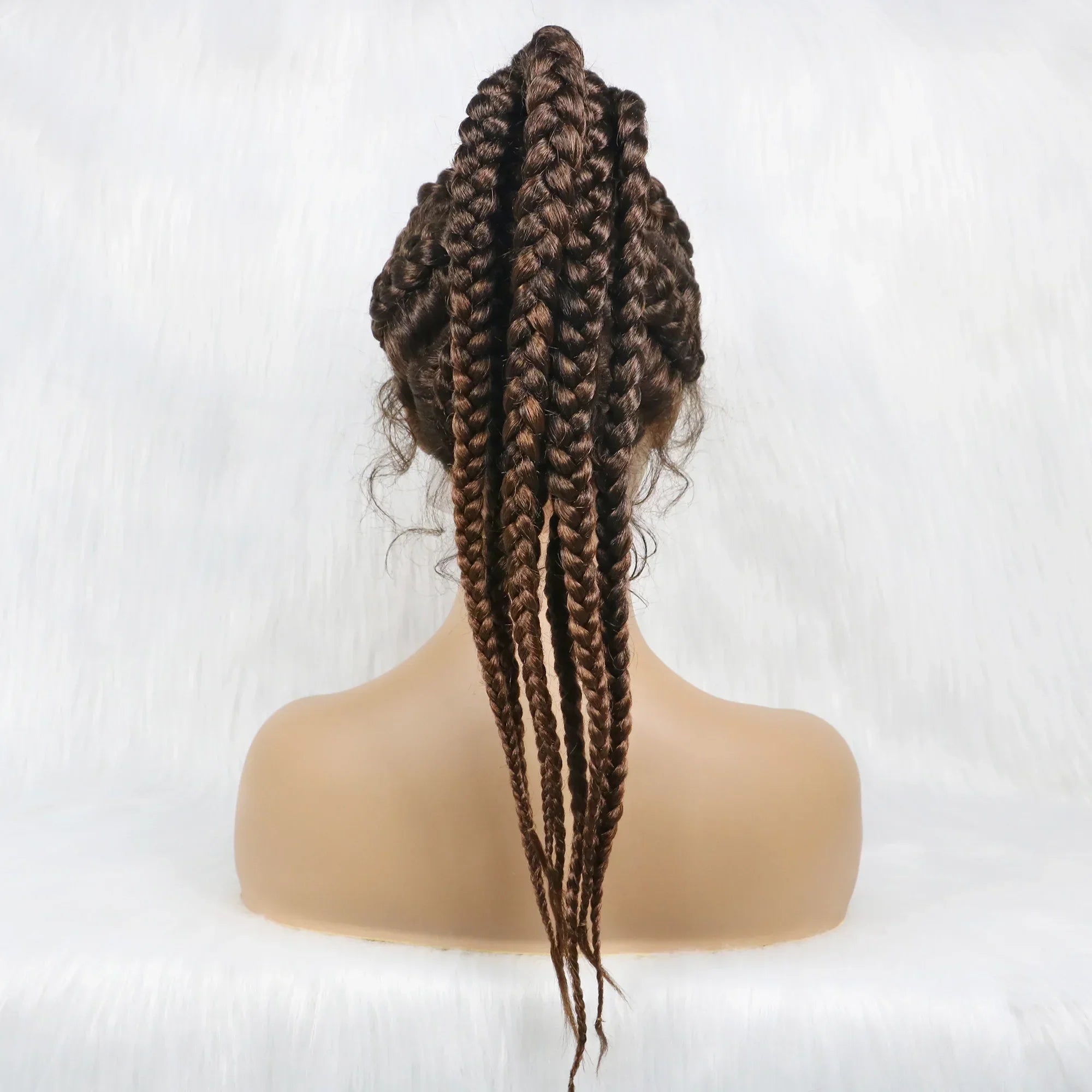 24" Ombre Braided Ponytail Wig | Lace Front with Baby Hair