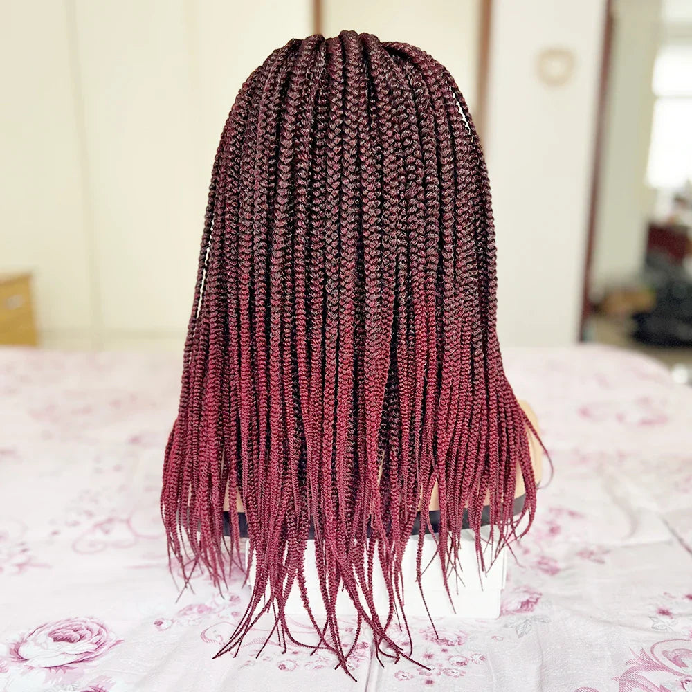 20-30 Inch Ombre Box Braids Wig | Lace Front | Short Braided Wigs for Black Women | High-Temperature Fiber