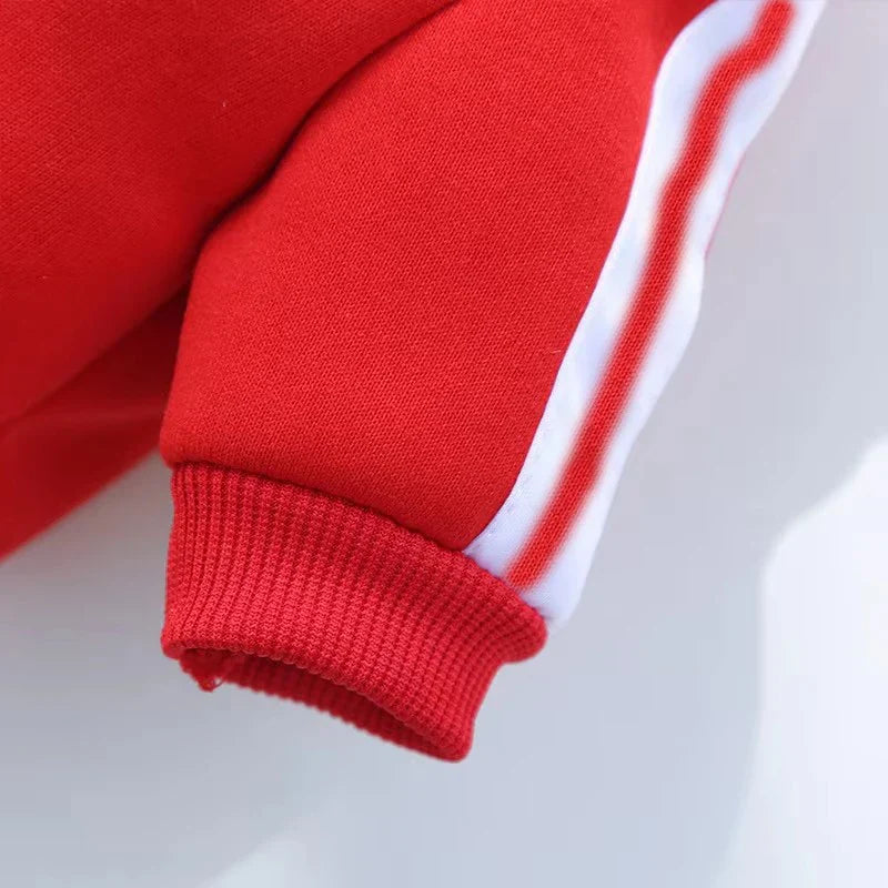 Baseball Dog Jacket, Sportswear