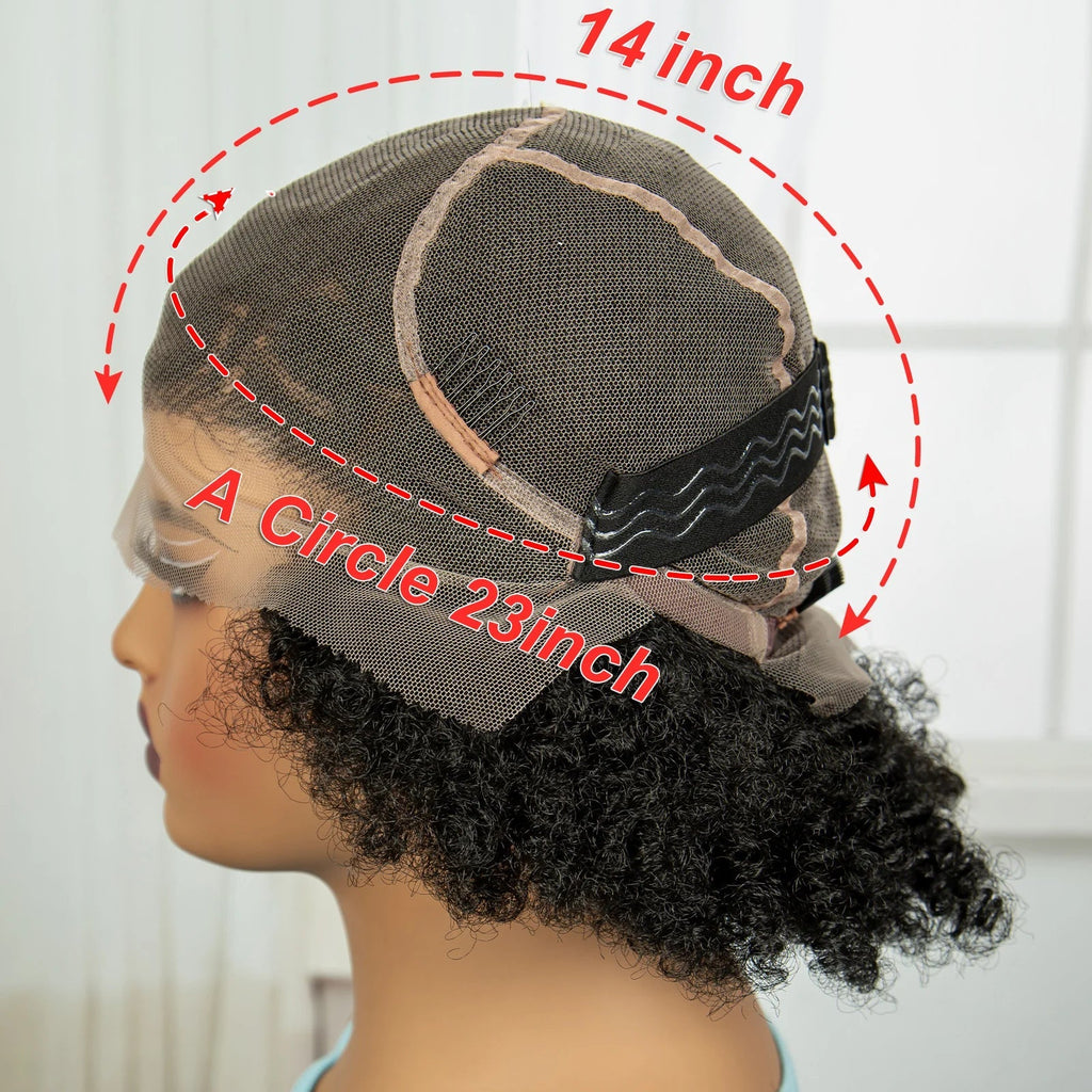 Afro Kinky Curly Cornrow Braids Wig | Transparent Full Lace | Baby Hair