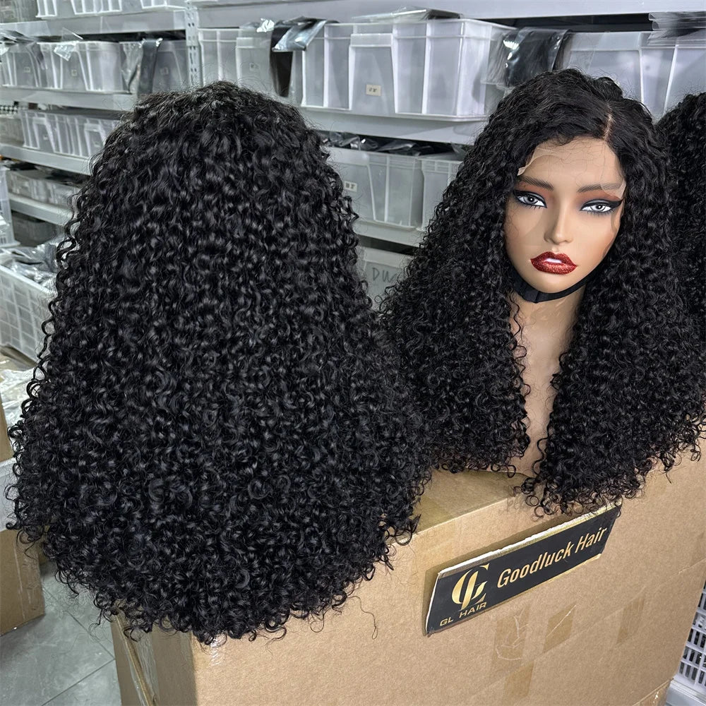 3C 4A Burmese Curly HD Lace Frontal Wig | 250% Density Human Hair