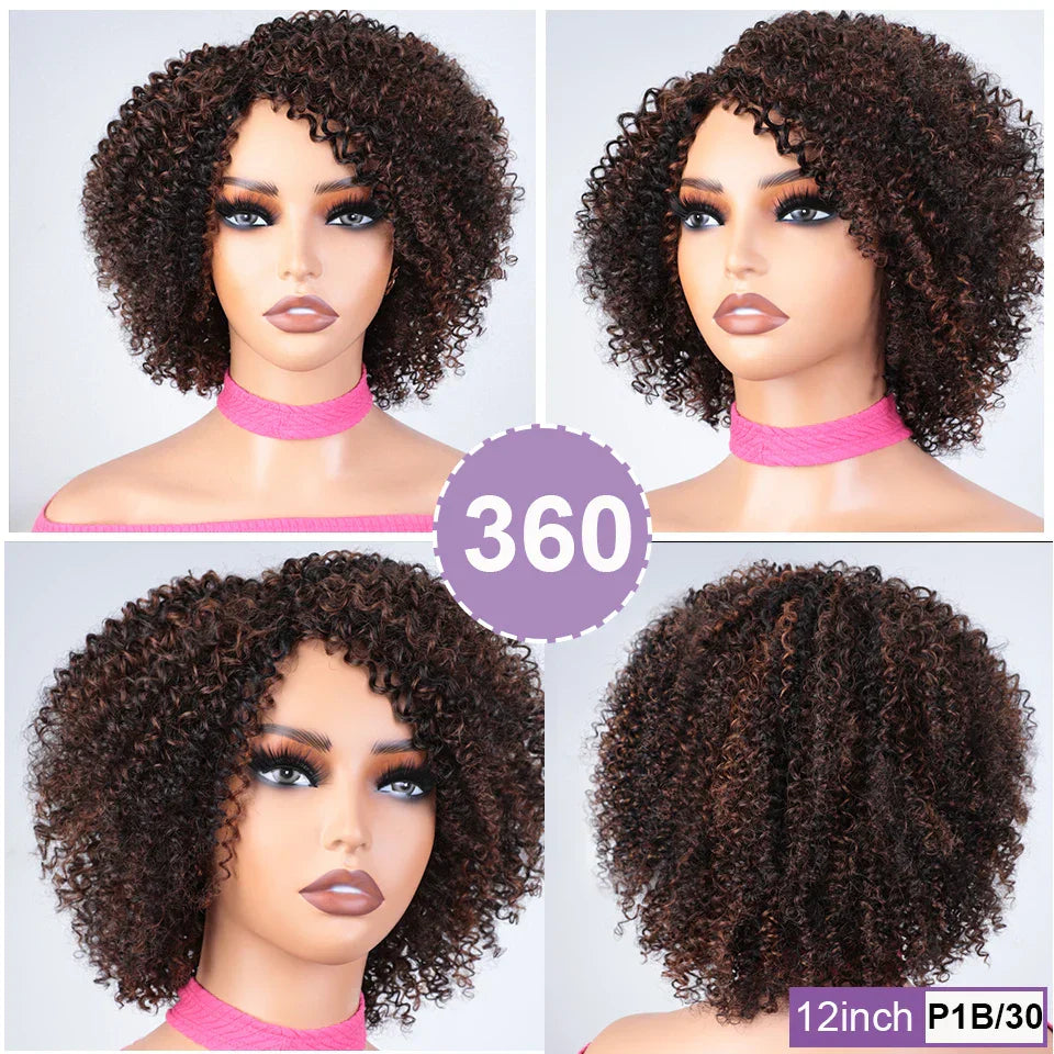 Afro Kinky Curly Black & Ombre T1B/30 Human Hair Wig | Brazilian Remy Machine Made Glueless Wigs for Women (Affordable)