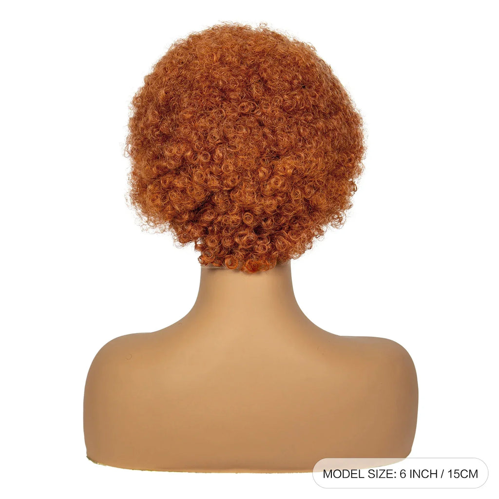 350# Ginger Orange Synthetic Knotless Braided Wig | 13x4 Transparent Lace Front Short Afro Kinky Curly Braids