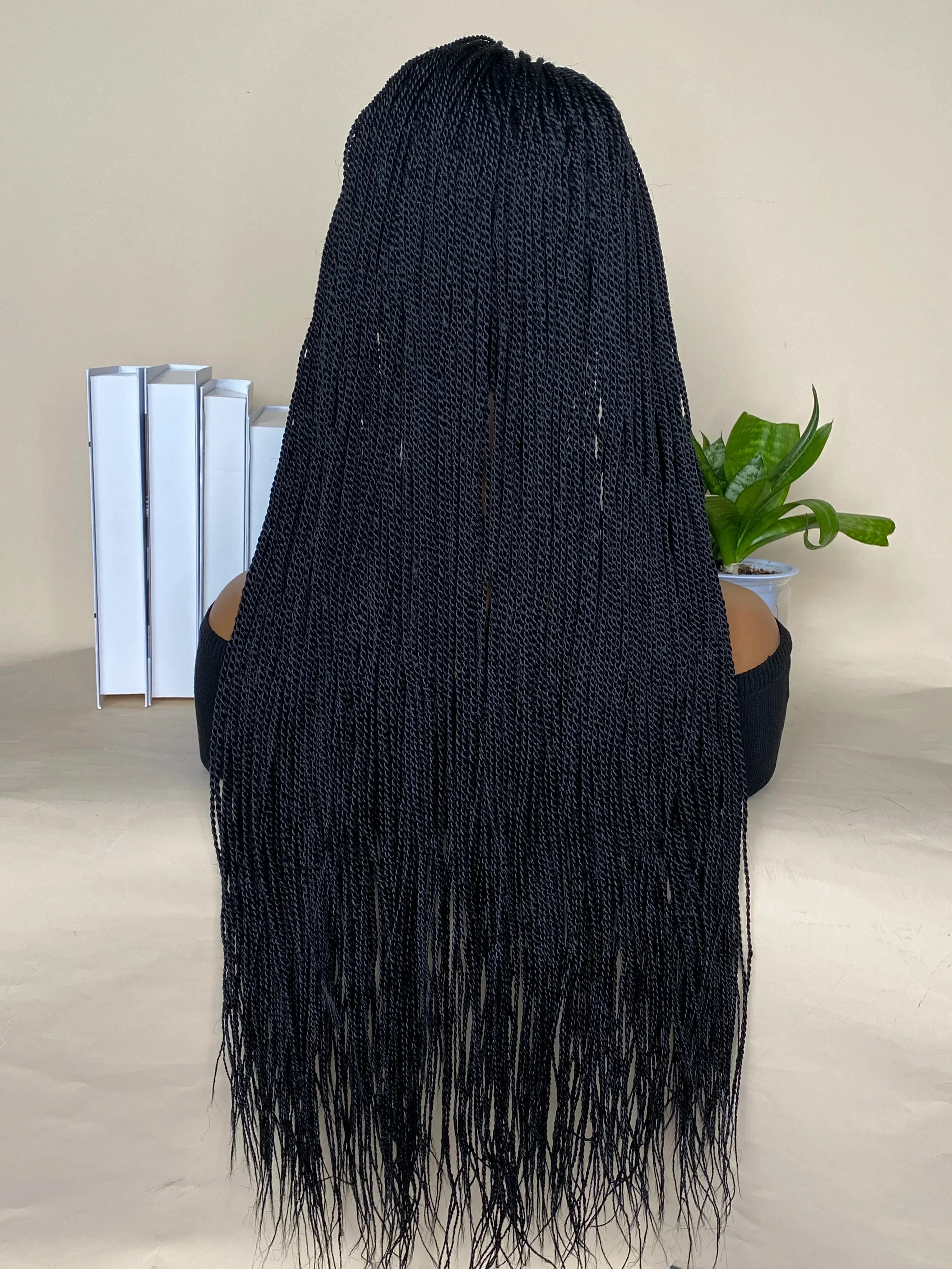 30 Inch Box Braids Wig | Kanekalon Fiber | Heat Resistant | Lace Front | For Black Women