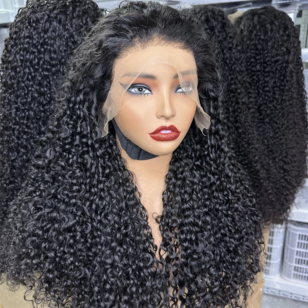3B 3C Burmese Curly HD Lace Frontal Wig | Brazilian Pixie Curls