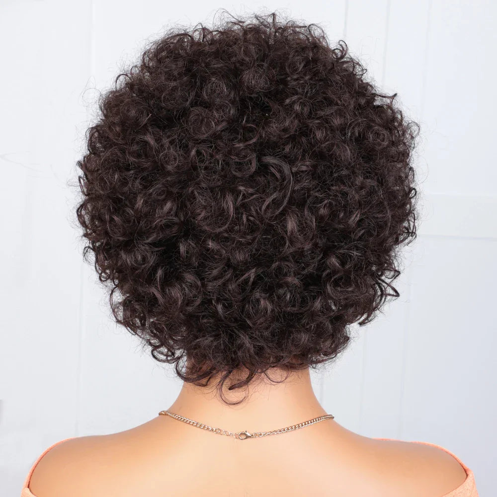 Afro Kinky Curly Wig | Short Full Machine Made Remy Human Hair (Glueless "Wear to Go")