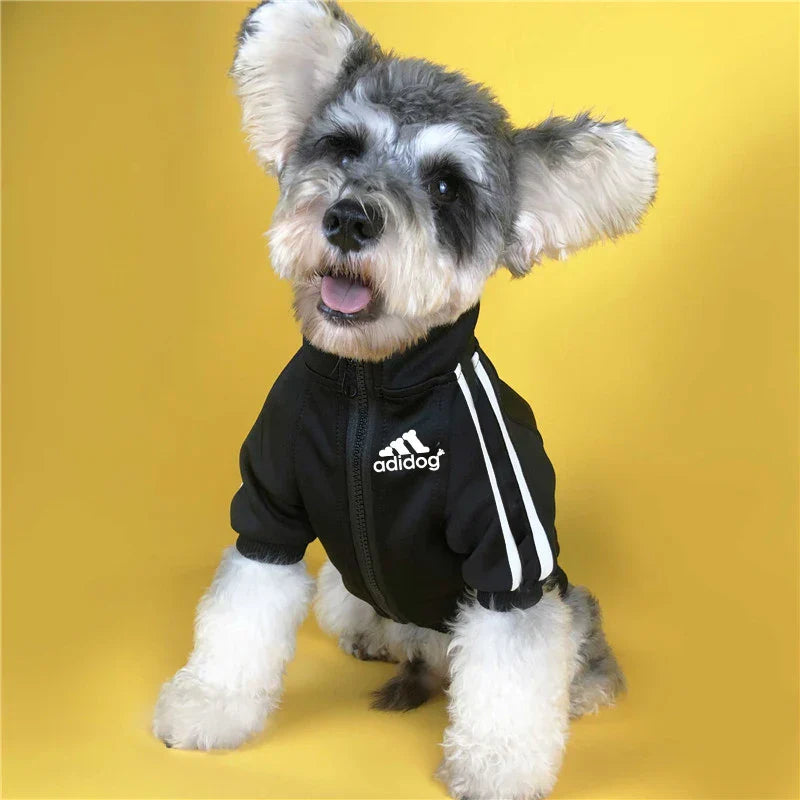 Baseball Dog Jacket, Sportswear