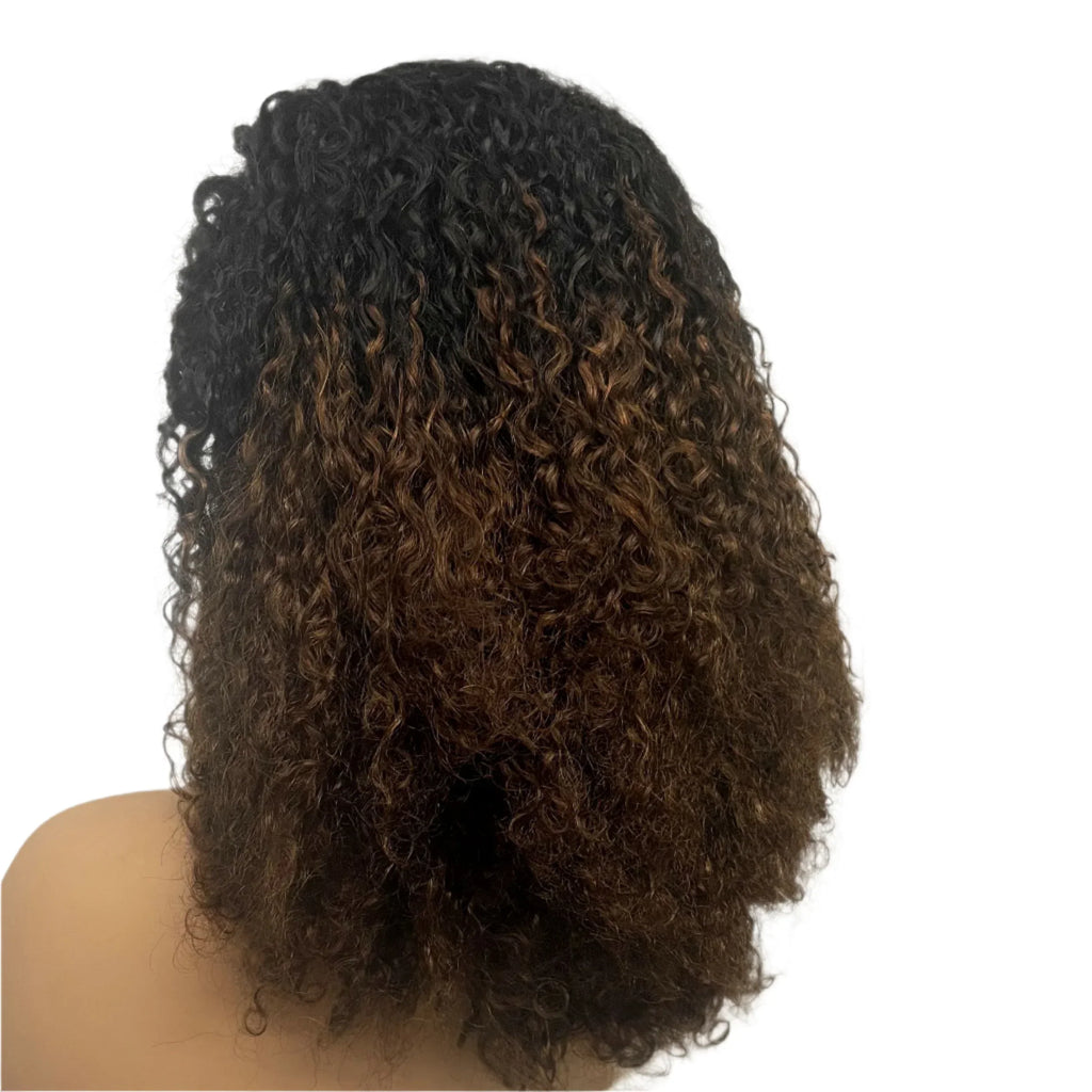 350% Density Pixie Curly HD Lace Frontal Wig | Bouncy Burmese Human Hair