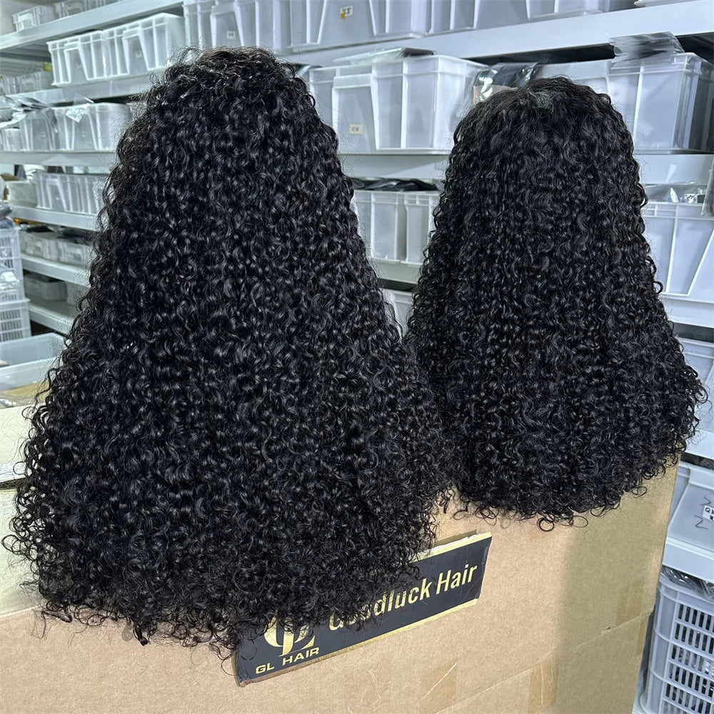 3B 3C Burmese Curly HD Lace Frontal Wig | Brazilian Pixie Curls