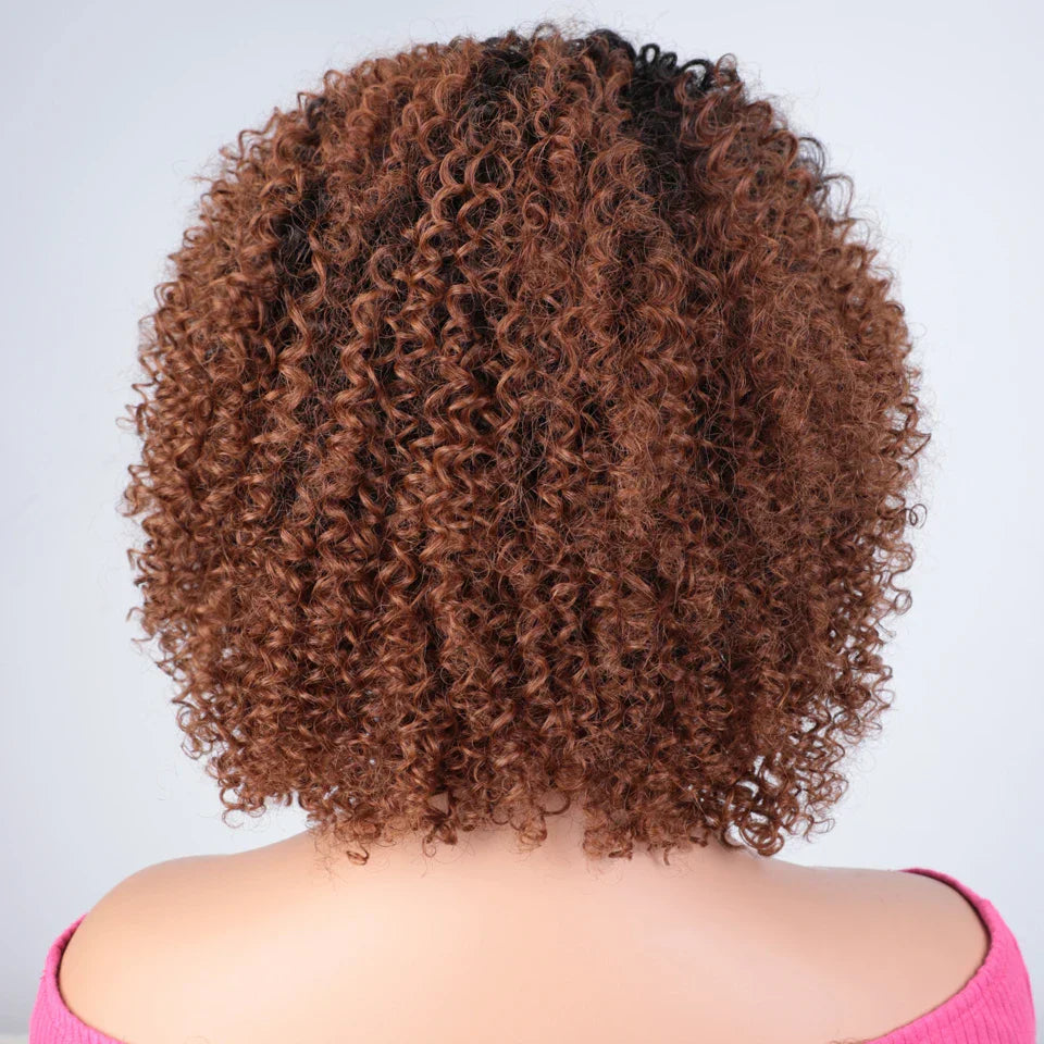 Afro Kinky Curly Black & Ombre T1B/30 Human Hair Wig | Brazilian Remy Machine Made Glueless Wigs for Women (Affordable)