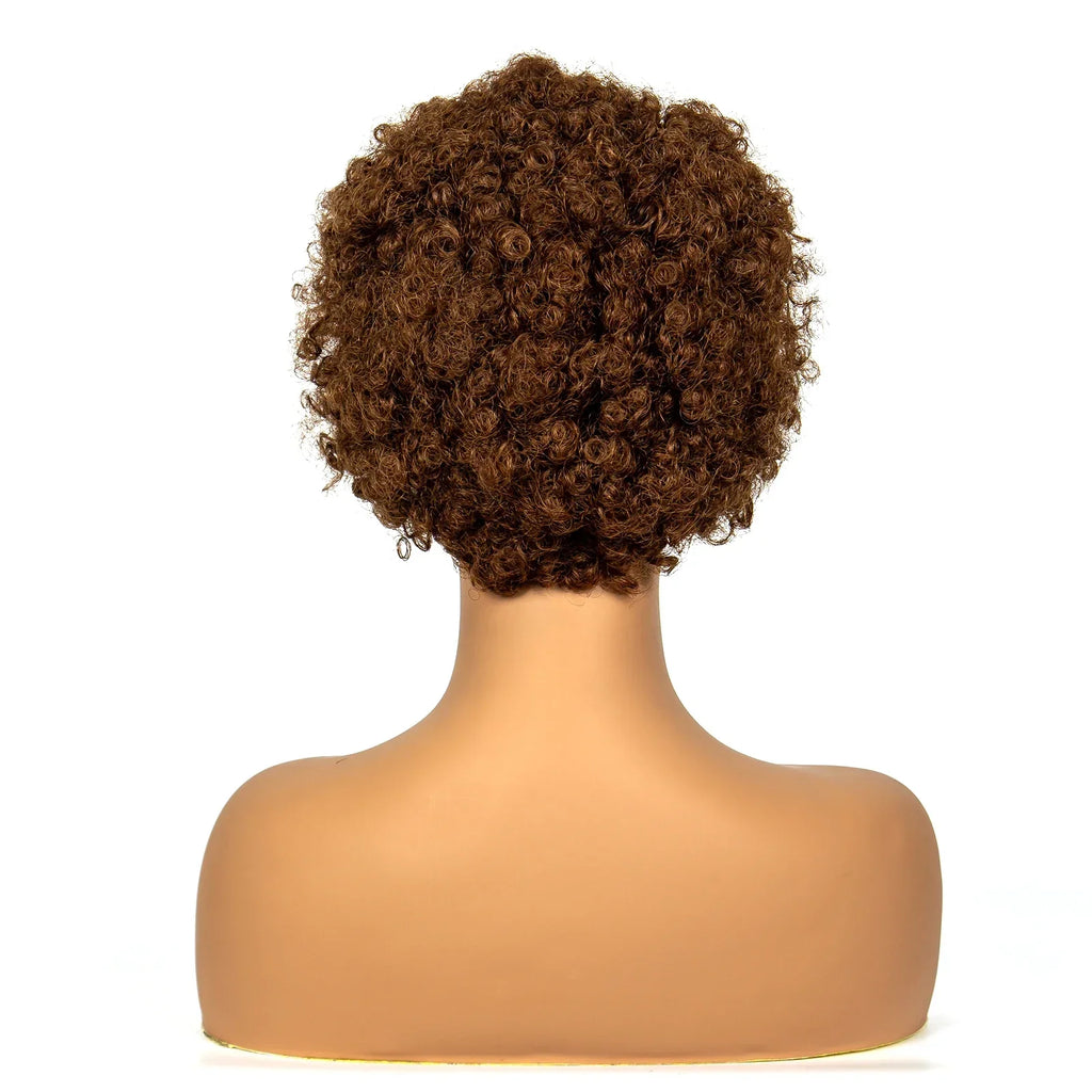 350# Ginger Orange Synthetic Knotless Braided Wig | 13x4 Transparent Lace Front Short Afro Kinky Curly Braids
