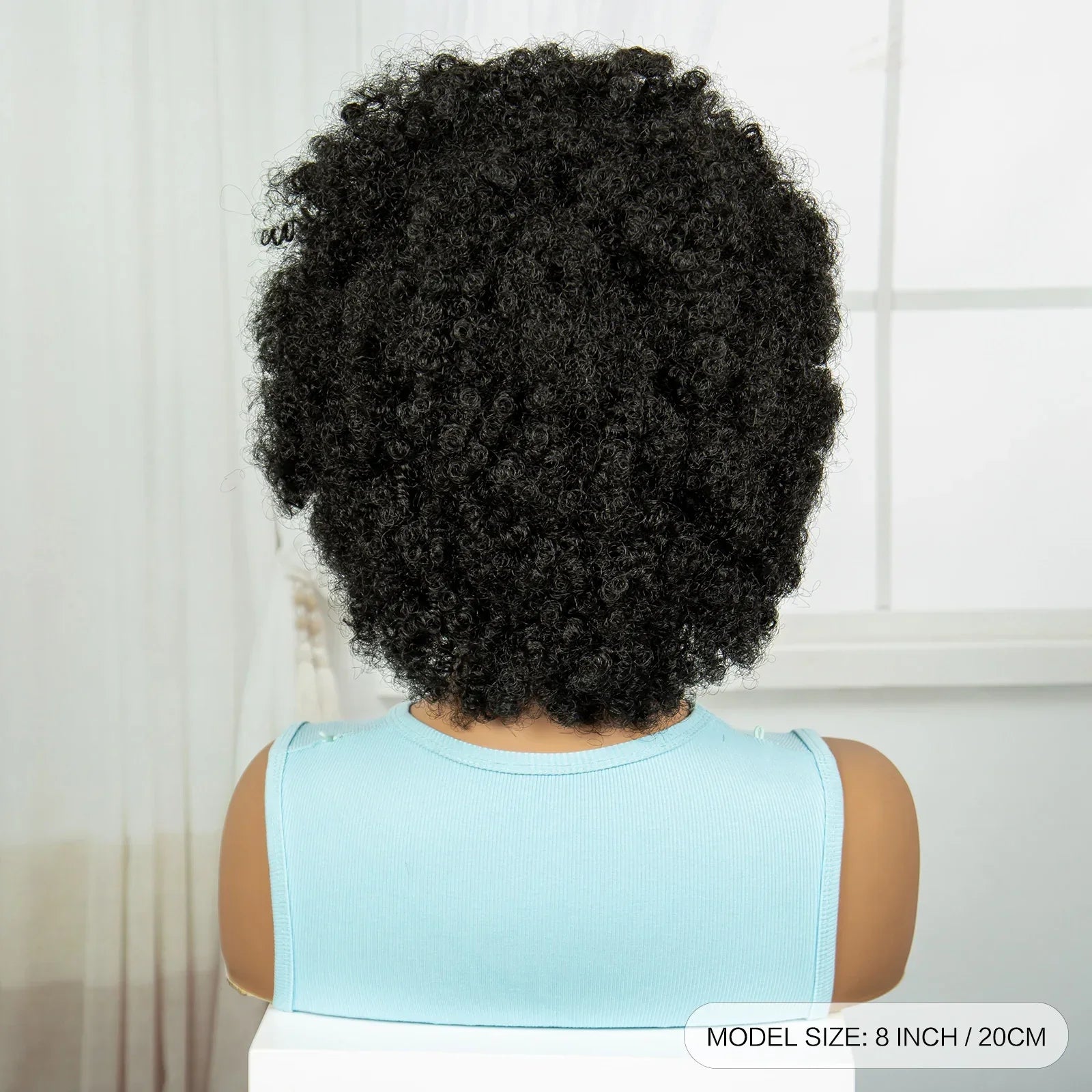 Afro Kinky Curly Braids Wig | Full Lace | Cornrow Accents | Baby Hair