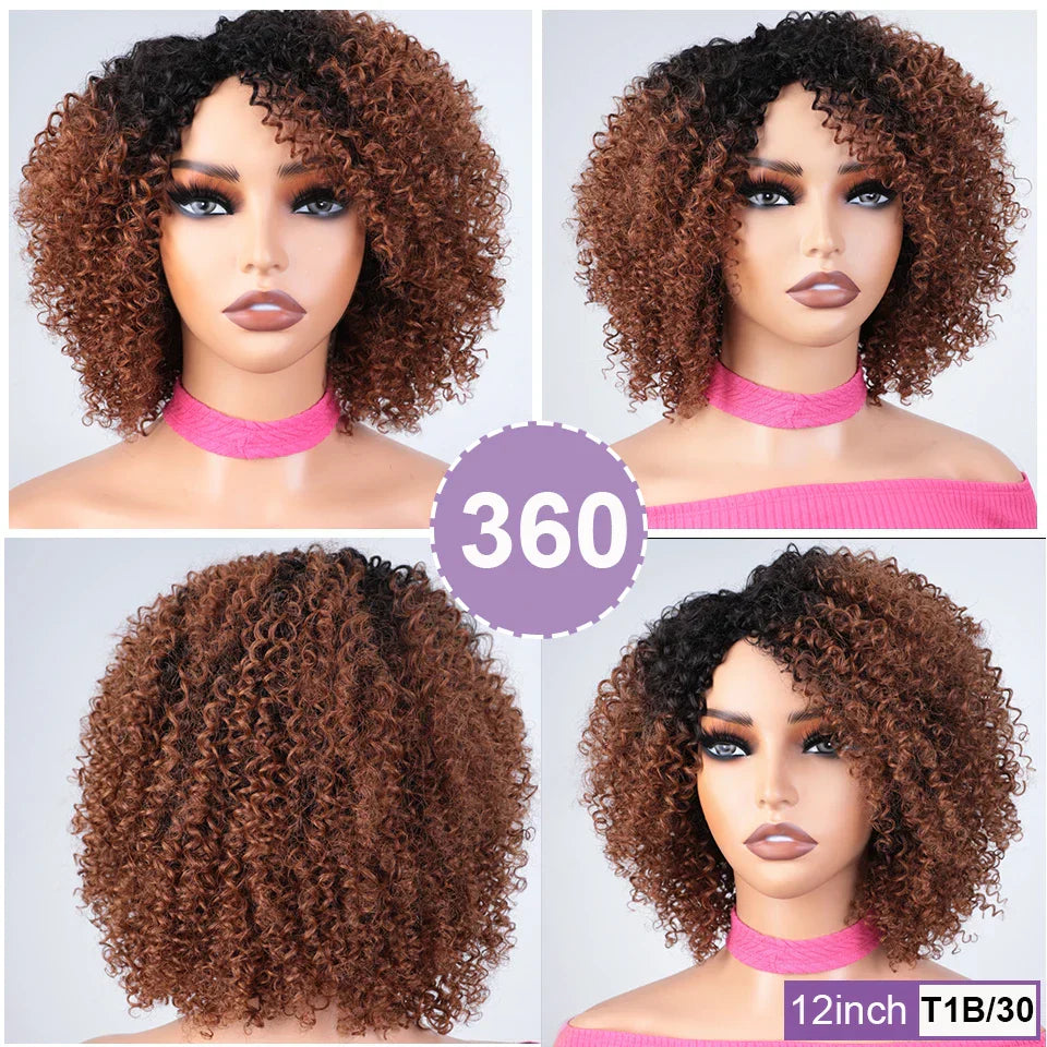 Afro Kinky Curly Black & Ombre T1B/30 Human Hair Wig | Brazilian Remy Machine Made Glueless Wigs for Women (Affordable)