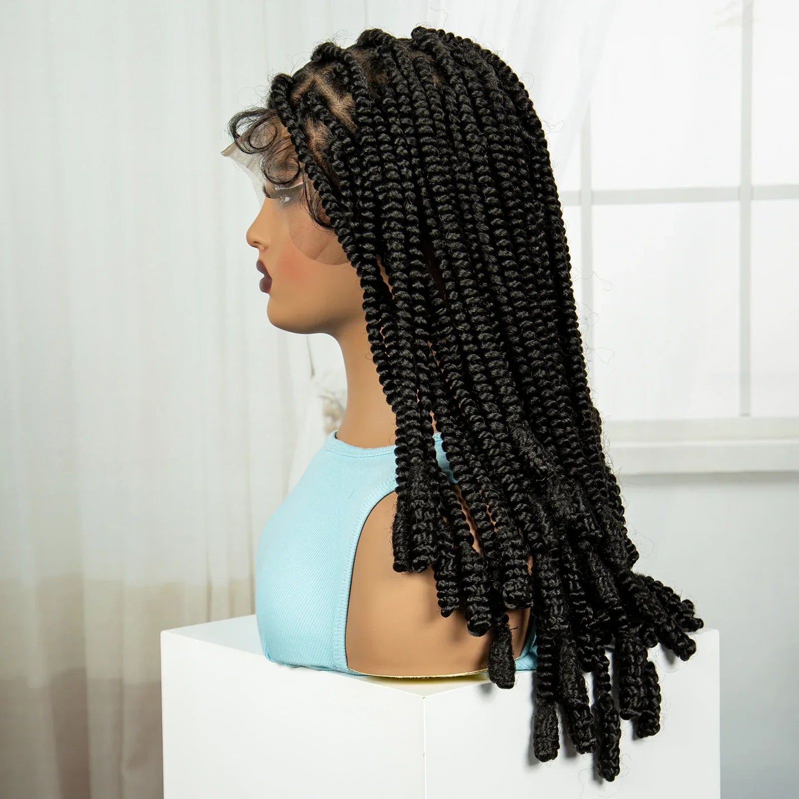 20" Knotless Box Twist Braids Wig | Full Lace | Baby Hair