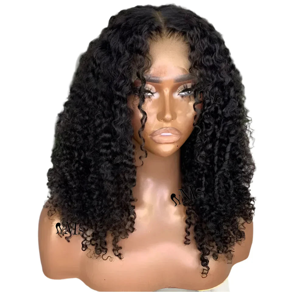 3C 4A Premium Virgin Burmese Curly Lace Frontal Wig | 250% Density