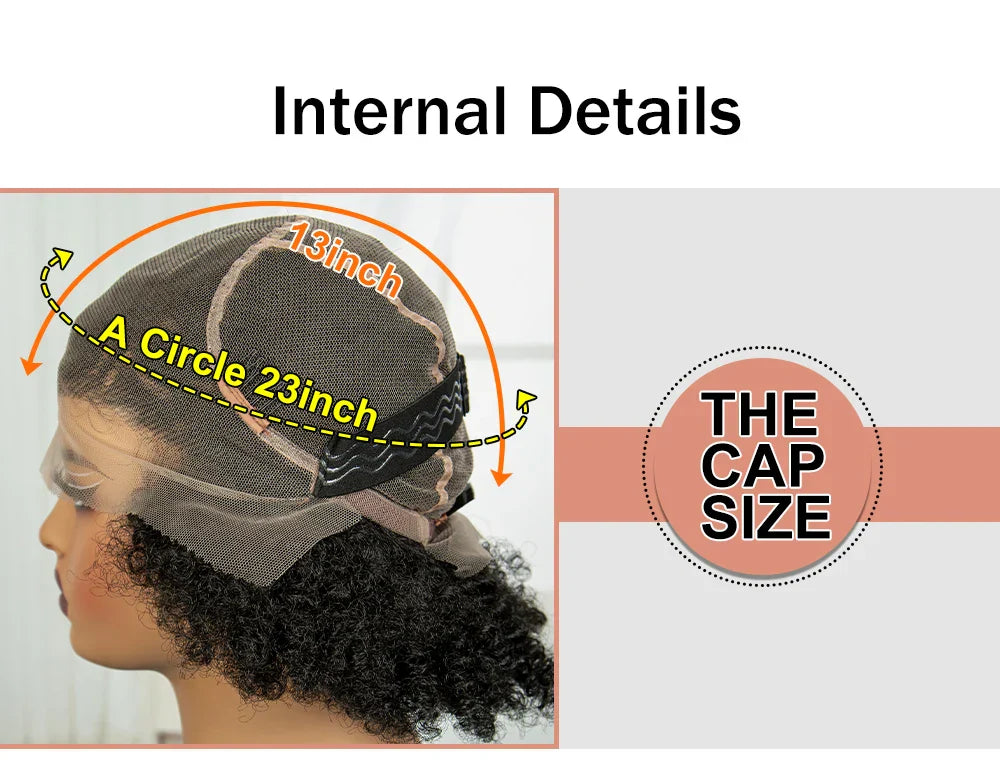 Afro Kinky Curly Cornrow Braids Wig | Transparent Full Lace | Baby Hair