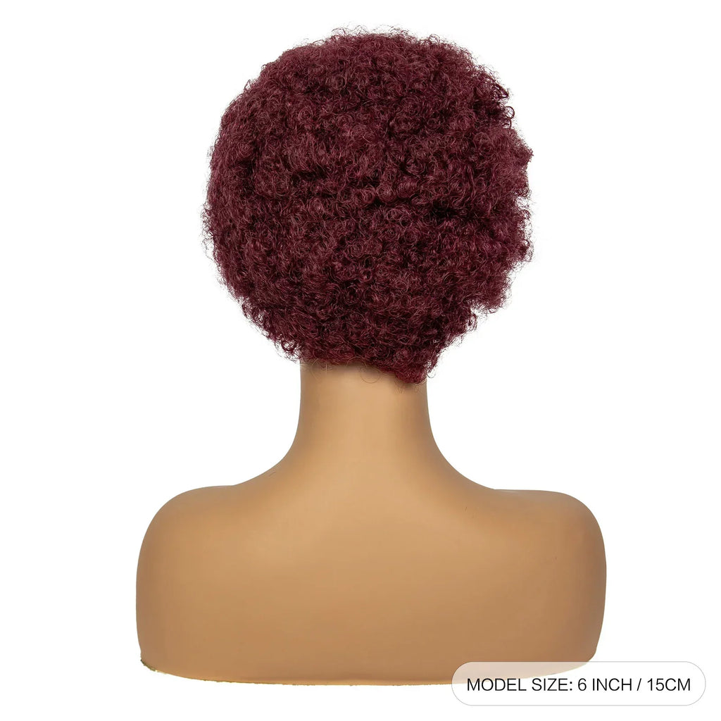 4-30 Color Synthetic Braided Wig | 13x4 Transparent Lace Front Short Afro Kinky Curly Knotless Braids