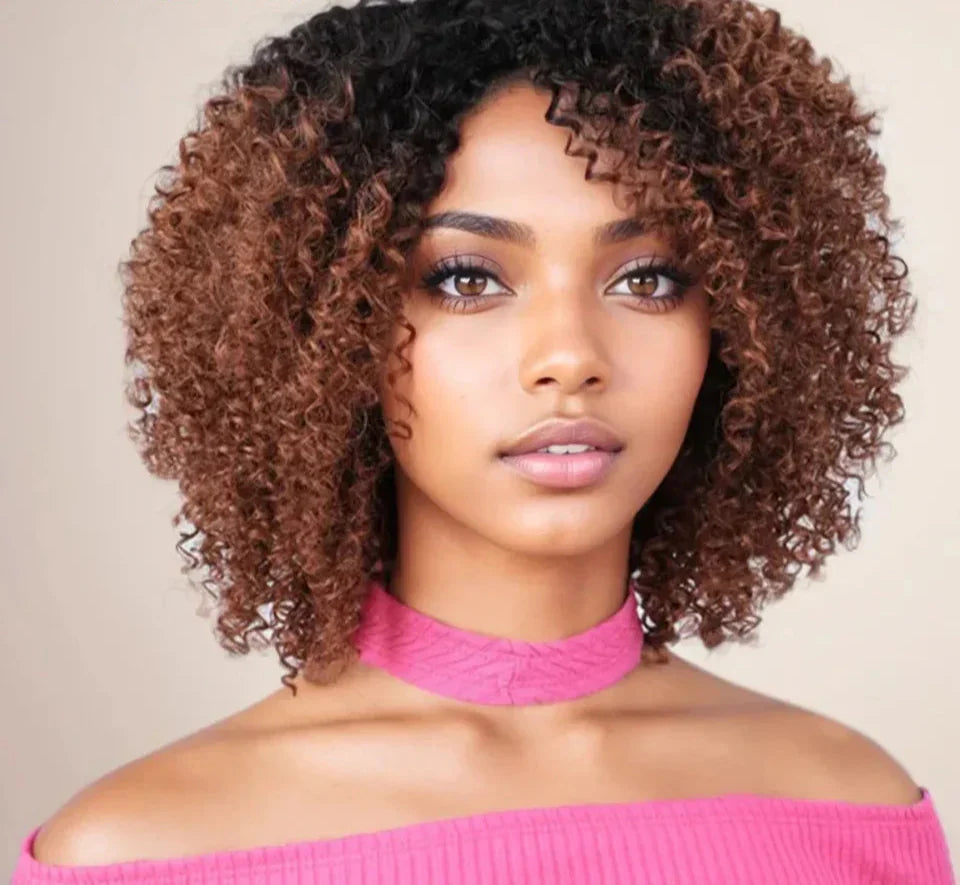 Afro Kinky Curly Black & Ombre T1B/30 Human Hair Wig | Brazilian Remy Machine Made Glueless Wigs for Women (Affordable)