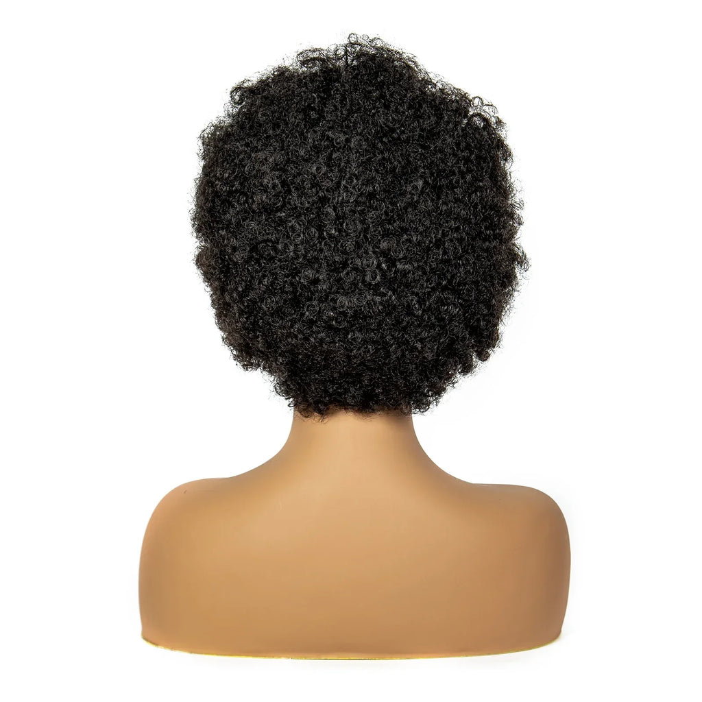 8" Natural Afro Kinky Curly Braids Wig | 13x6 Lace | Baby Hair | Bouncy Curls