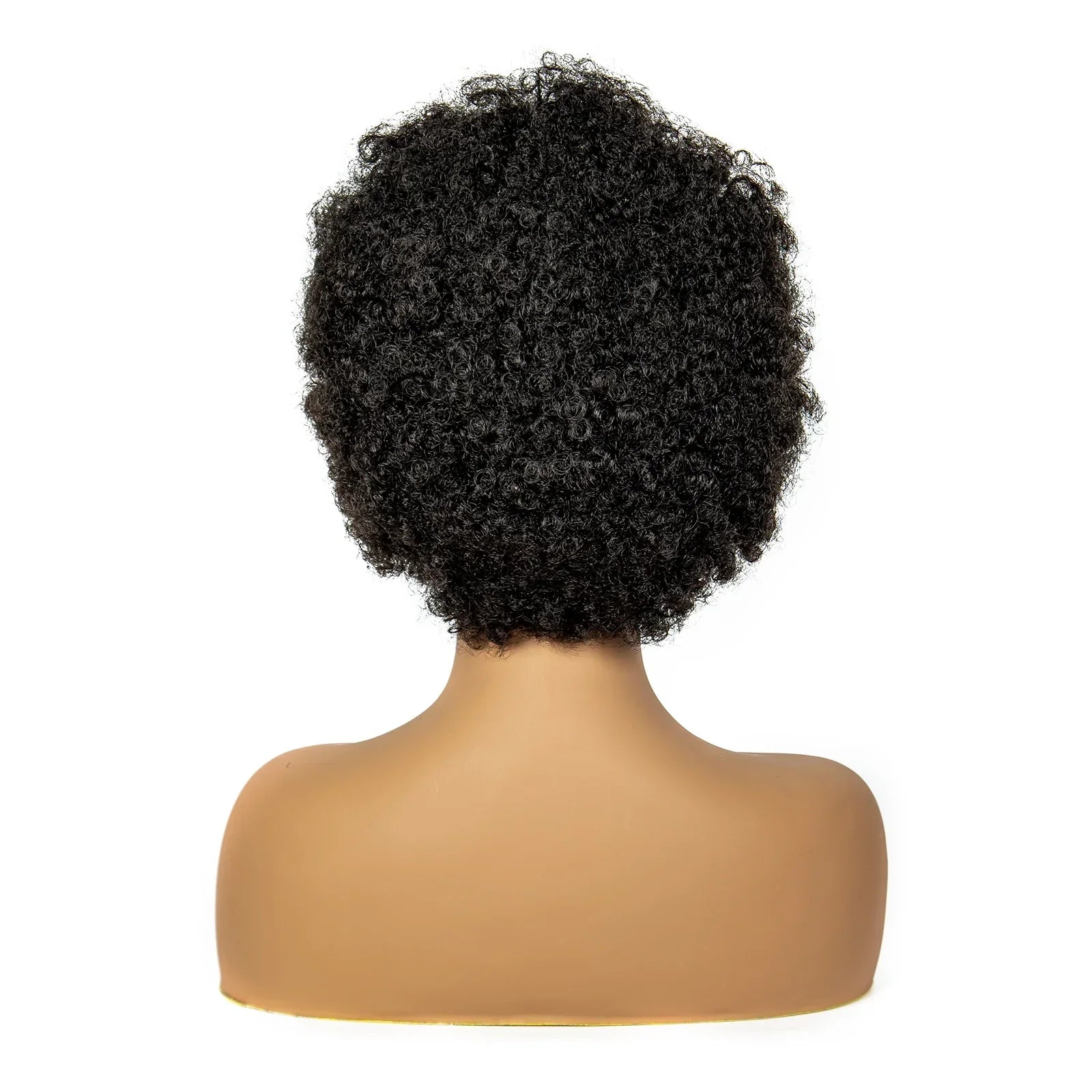 8" Natural Afro Kinky Curly Braids Wig | 13x6 Lace | Baby Hair | Bouncy Curls