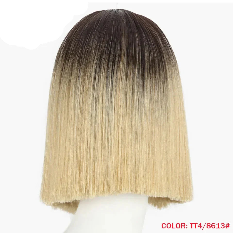 10 Inch Ombre Brown Straight Short Bob Wig | Synthetic Lace Front Wigs for Women (Heat Resistant Fiber, Cosplay & Daily Use)