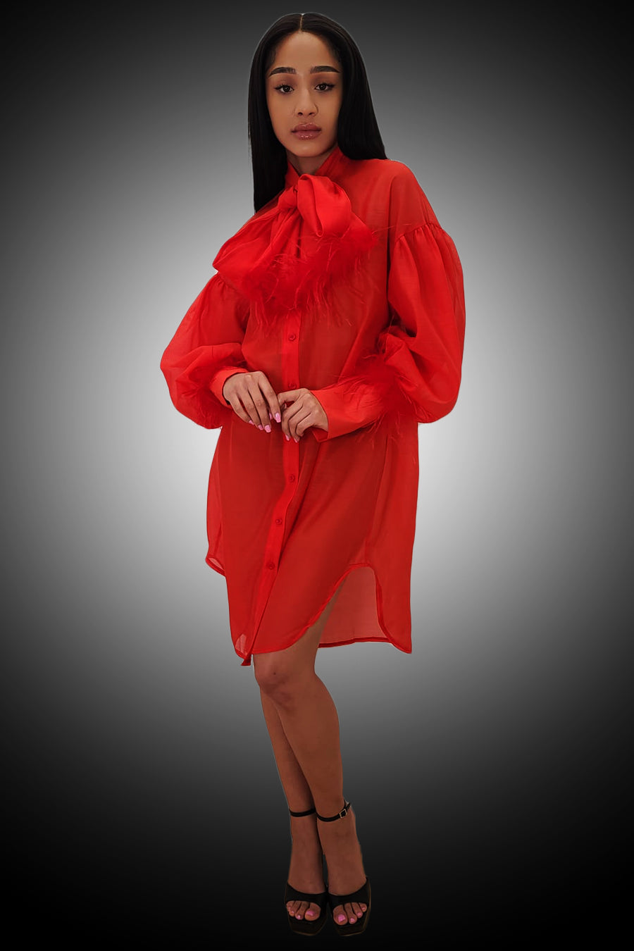Long Sleeve Button Down Bow Sheer Short Dress