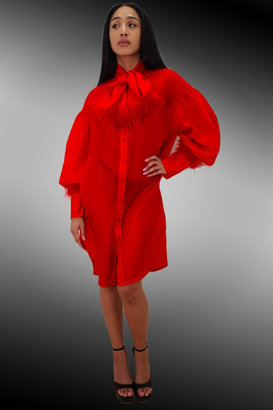 Long Sleeve Button Down Bow Sheer Short Dress