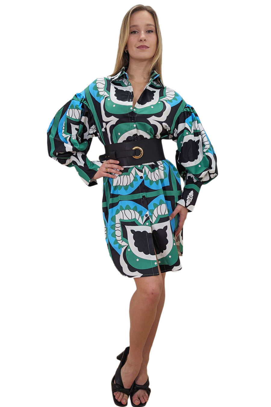 Long Puff Sleeve Button Down Collar Short Dress
