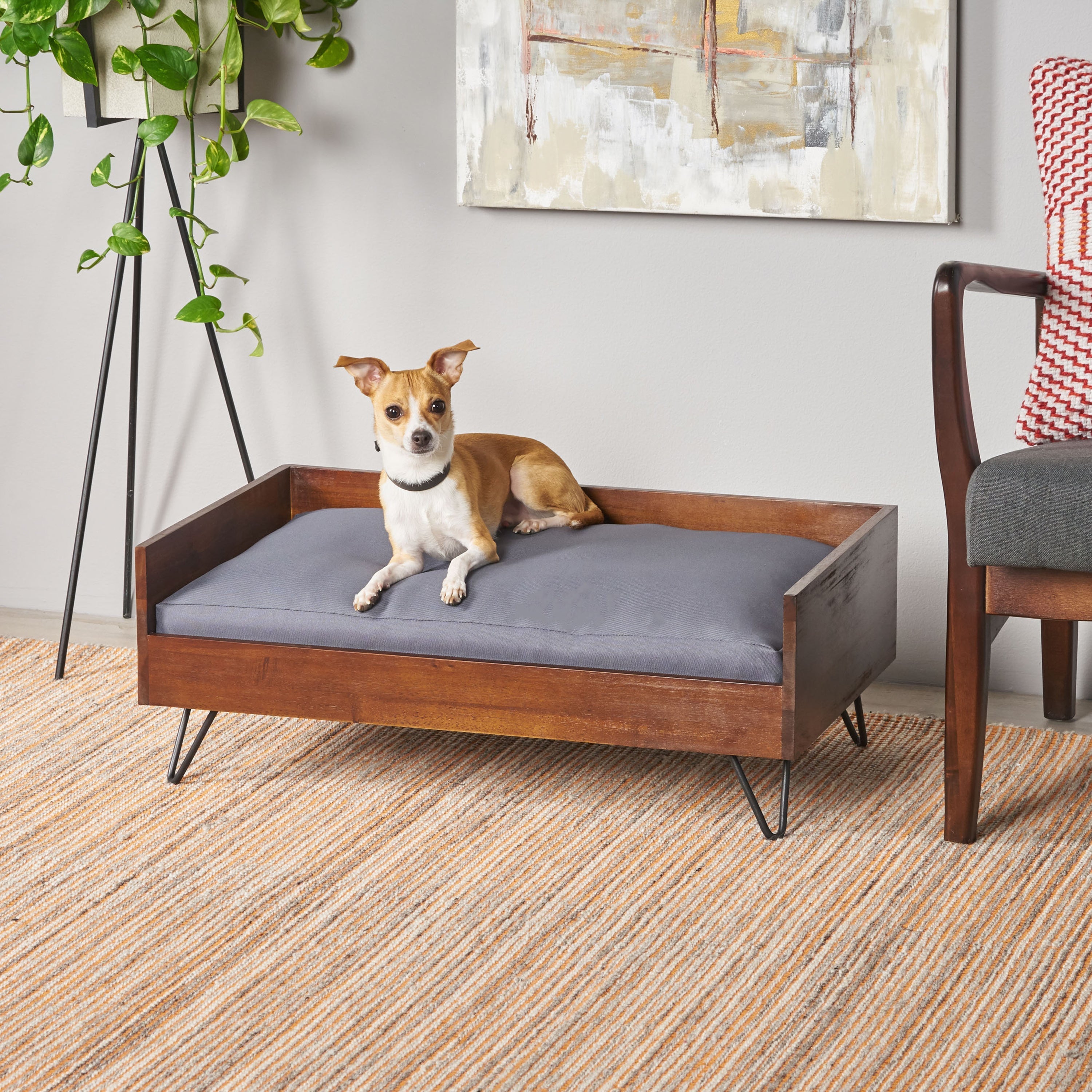 Acacia Wood Dog Bed with Sleek Hairpin Legs